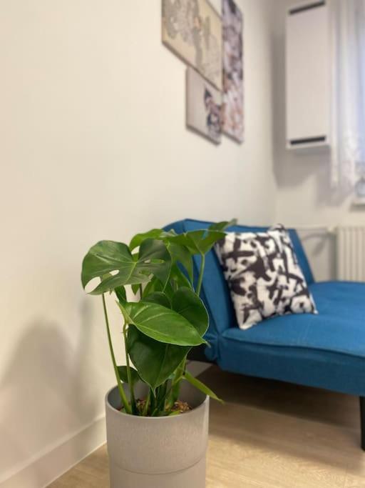 Apartman Kristina Štúrovo 외부 사진